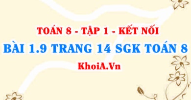 Bài 1.9 trang 14 SGK Toán 8 tập 1 Kết nối tri thức